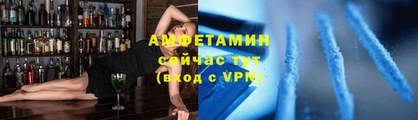 гидра Краснослободск