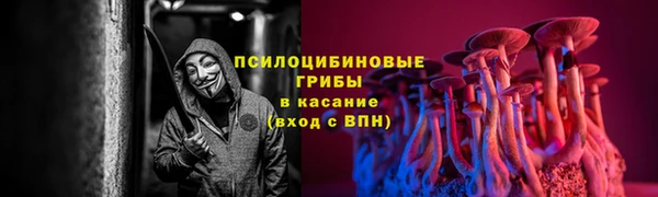 дмт Краснотурьинск