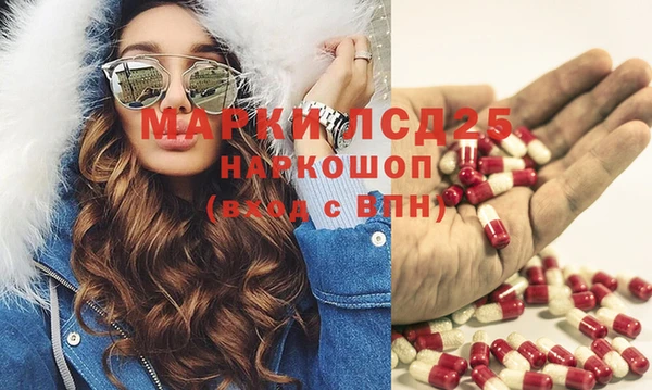 гидра Краснослободск