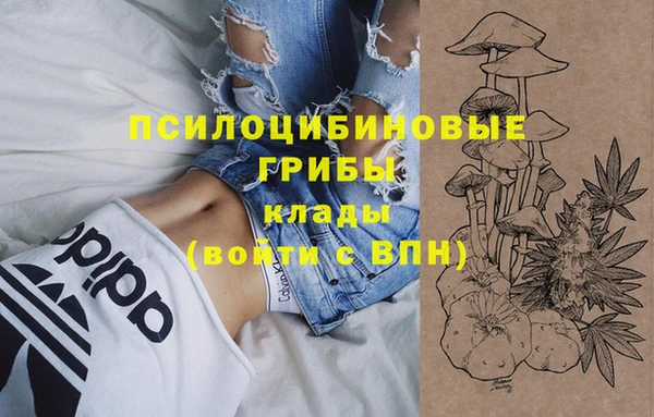 гидра Краснослободск